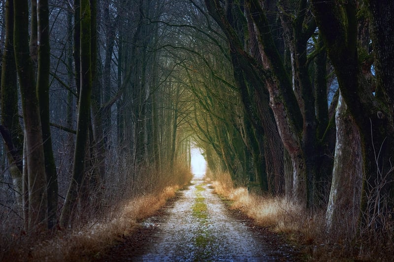 Mystical Lighting